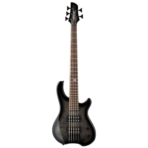 Fernandes T5X TC SBG бас-гитара Tony Campos Tremor 5X Fernandes T5X TC SBG бас-гитара Tony Campos Tremor 5X