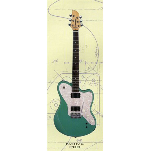 Fernandes NATIVE PRO 05 SFG электрогитара Fernandes NATIVE PRO 05 SFG электрогитара