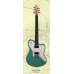 Fernandes NATIVE PRO 05 3SB электрогитара Fernandes NATIVE PRO 05 3SB электрогитара